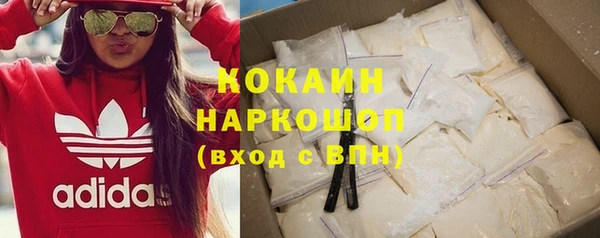 спиды Горняк