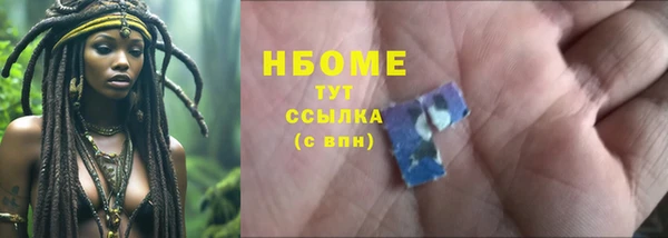 стаф Вяземский