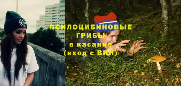 ALPHA-PVP Горнозаводск