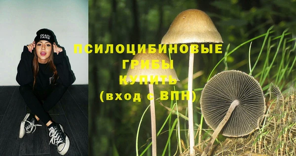 spice Вязники