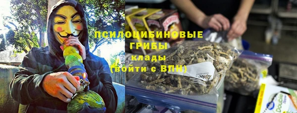 ешки Горно-Алтайск