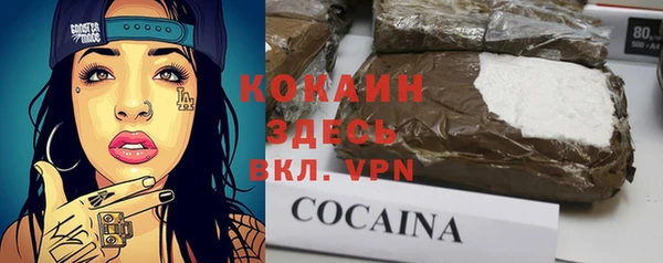 спиды Горняк
